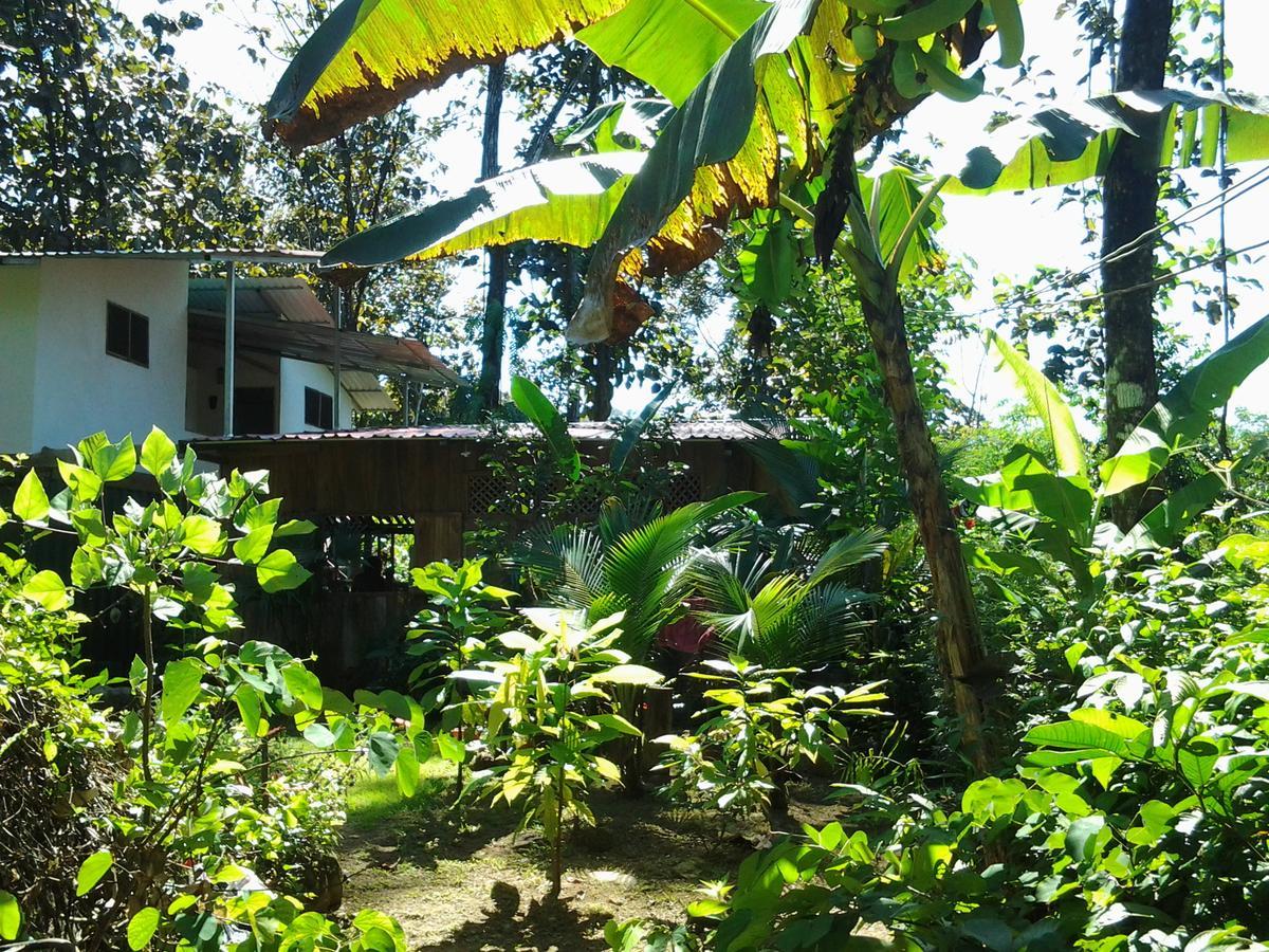 Osa De Rio Hotel อูวีตา ภายนอก รูปภาพ